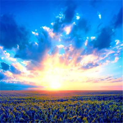 金年会体育APP下载