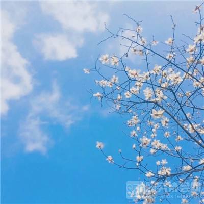 网络手机赌钱软件下载