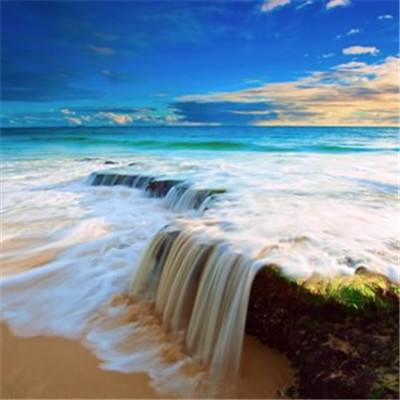 真人斗牛牛最新版下载手机版