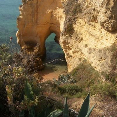 皇冠crown体育下载